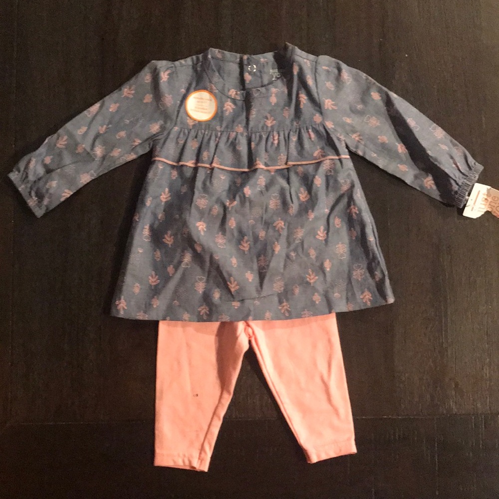 Carter’s baby girl leggings and tunic! Brand new